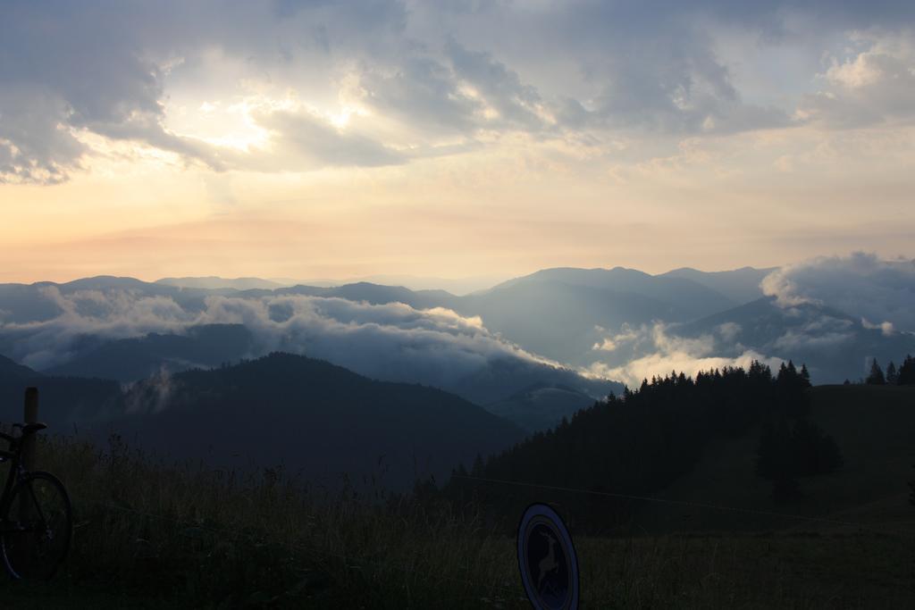 Fewo-Barbara-Rust Buitenkant foto