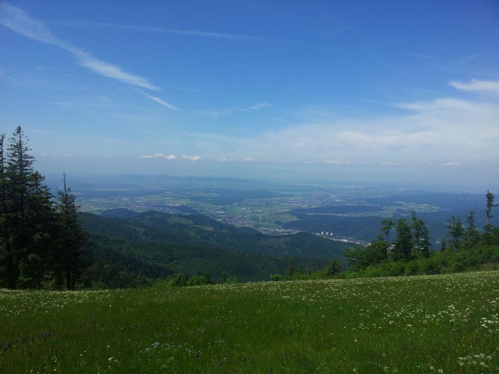 Fewo-Barbara-Rust Buitenkant foto